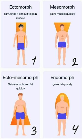 Body Shape Types